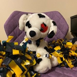 Meet your Posher, Heather